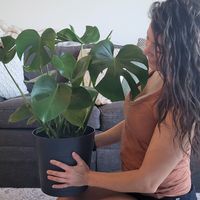 plantsofk93