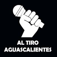 altiroaguascalientes03