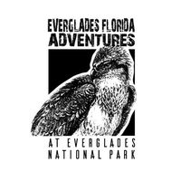 evergladesfladventures