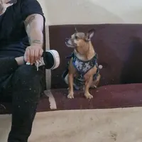 original sound - albertodas.s