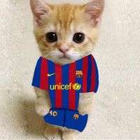 justfut18