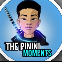 thepininimoments