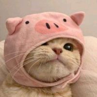 เสียงต้นฉบับ - Noinaii