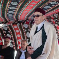 الصوت الأصلي