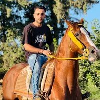 original sound - algmati__93