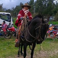 el_daywer