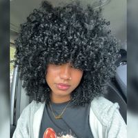 pamela_v6