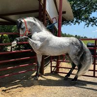 rancho_encantado_bustos