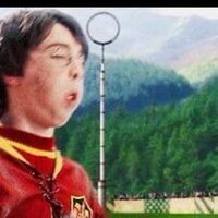 h4rry.pottah.chats