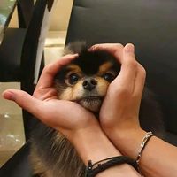 min_donyu