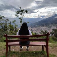 amyvale11