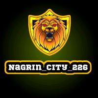 nagrin_city
