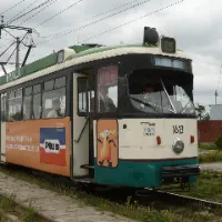 Da trenu tuc tuc tuc