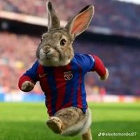 blaugrana_grone