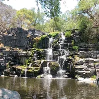 original sound - gtzrf2