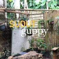 sudut.guppy