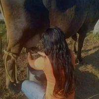 jucineide.arajo.do