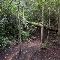 all these fine ahh females usin this sound hml