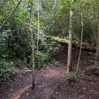 original sound - kcuf.julian