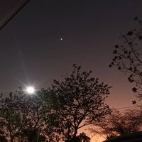suara asli