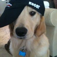 оригінальний звук