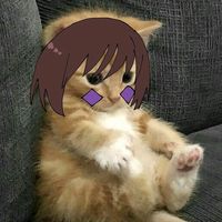 nini.vmp