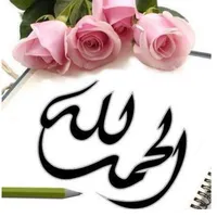 original sound - nova750501