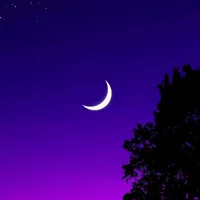 original sound - un.poco.de.todito06