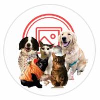 original sound - Fuzzy Interns from PicFoams