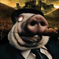 с днём рождения шаурма