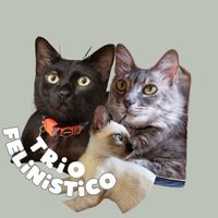 trio.felinistico