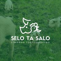 selo_ta_salo