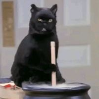 1gatonegr0