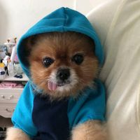 aobook