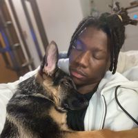 dog_forevero