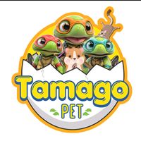 tamago_pet