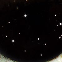 TikTok Account - taiverdes