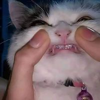 sugarmight2007