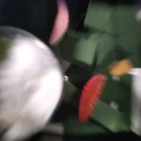 sannsuksass