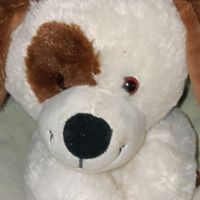 thatdog8