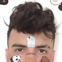 oblogueirinho