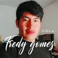 fredy.gomes53
