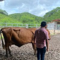 eduardito18gt