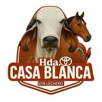 hdacasablanca