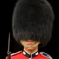 thekingshop10