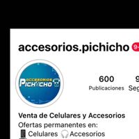 accesorios.pichicho1