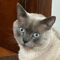 fredericoejuju