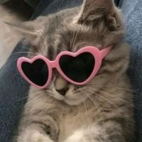 https_dud4_v