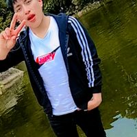 di_vimos