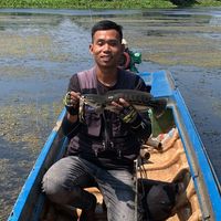 original sound - ❤️មួន សុខជា❤️អ្នកបបក់អំបិល🤣